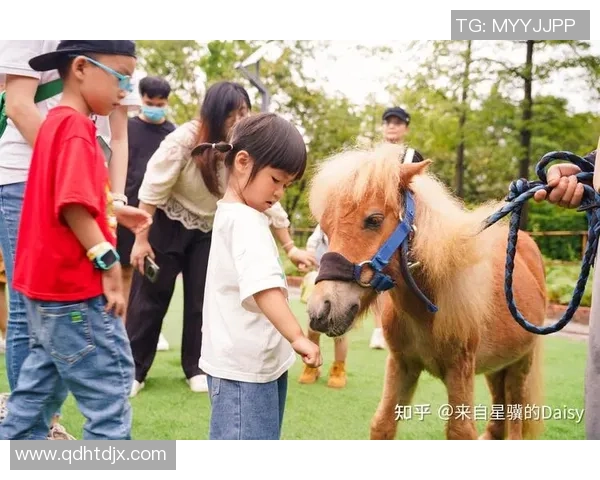 足球g马:探索足球与马术的奇妙结合与未来发展潜力