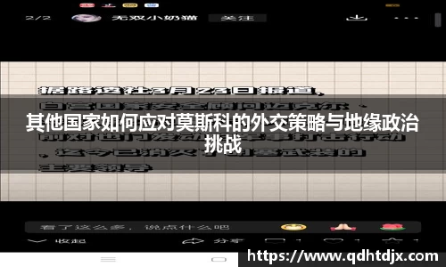 其他国家如何应对莫斯科的外交策略与地缘政治挑战